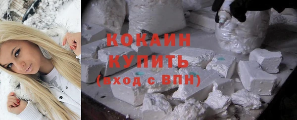соль ск Абаза