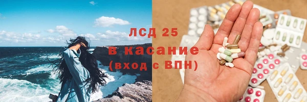 мет Алексин