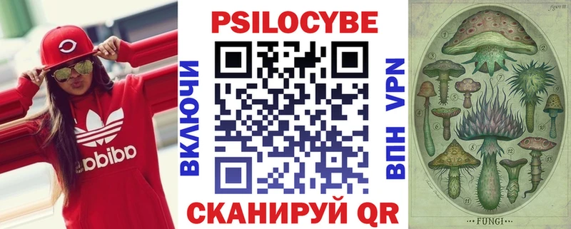 Галлюциногенные грибы мицелий  продажа наркотиков  Заводоуковск 