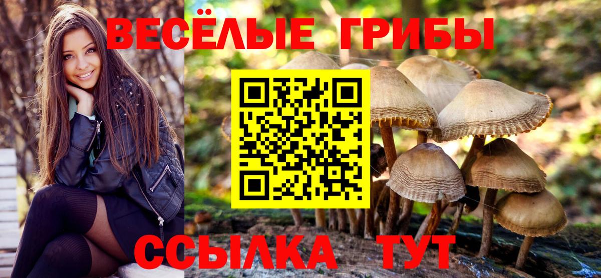 Заводоуковск  Галлюциногенные грибы мицелий  Вход с VPN 